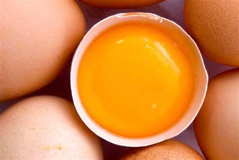 Помогает ли сырое яйцо для потенции